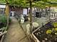 349 W 26th, Chicago, IL 60616