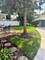 3834 Hampton, Western Springs, IL 60558