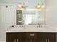 1347 W Fillmore Unit A1, Chicago, IL 60607