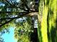 7930 Grant, Darien, IL 60561