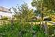 16165 S Arbor, Plainfield, IL 60586