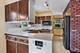 10713 Lawler, Oak Lawn, IL 60453