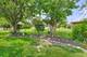 136 Caryville, Schaumburg, IL 60193