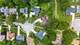 8020 Arrow, Darien, IL 60561