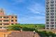 3930 N Pine Grove Unit 813, Chicago, IL 60613