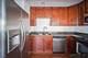 515 Sheridan Unit 101, Evanston, IL 60202