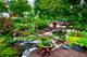 3564 Monarch, Naperville, IL 60564