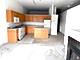 1000 E 53rd Unit 221, Chicago, IL 60615