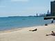 1135 W Farwell Unit 3N, Chicago, IL 60626