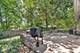 1130 Norwood, Aurora, IL 60504