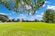 1118 South, Evanston, IL 60202