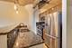 1150 W 15th Unit 241, Chicago, IL 60608