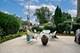 224 W Bradley, Des Plaines, IL 60016