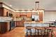 16114 Bormet, Tinley Park, IL 60477