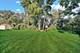 5622 Belmont, Downers Grove, IL 60516