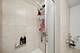 9725 Woods Unit 309, Skokie, IL 60077