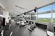 9725 Woods Unit 309, Skokie, IL 60077