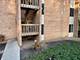 6017 Forest View Unit 1D, Lisle, IL 60532