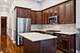 1528 W Monroe Unit 200, Chicago, IL 60607