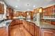 10630 Churchill, Orland Park, IL 60467