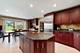 1520 Grove, Addison, IL 60101