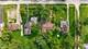 21160 S 93rd, Frankfort, IL 60423