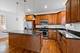 2018 W Chase Unit 1S, Chicago, IL 60645