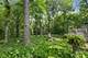 9014 W 123rd, Palos Park, IL 60464
