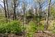 697 Bluff, Lake Bluff, IL 60044