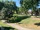 4424 Arbor Unit 3, Downers Grove, IL 60515