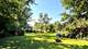 6294 Woodward, Downers Grove, IL 60516