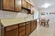 550 Ridge, Elk Grove Village, IL 60007