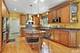 608 Glenwood, Glenview, IL 60025