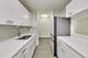 535 N Michigan Unit 1209, Chicago, IL 60611