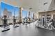 535 N Michigan Unit 1209, Chicago, IL 60611