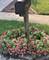 920 Plymouth, Algonquin, IL 60102