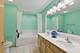 18330 Pond View, Tinley Park, IL 60477