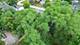 35706 N Benjamin, Ingleside, IL 60041