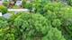 35706 N Benjamin, Ingleside, IL 60041