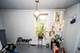 166 Ann, Elgin, IL 60120