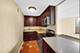899 S Plymouth Unit 1710, Chicago, IL 60605