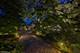 1319 Forest, Evanston, IL 60201