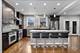 7315 W Lunt, Chicago, IL 60631