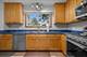 222 Aspen, Bolingbrook, IL 60440