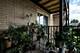3156 N Olcott Unit 1C, Chicago, IL 60707
