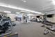 1717 S Prairie Unit 2308, Chicago, IL 60616