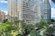 247 E Chestnut Unit 802, Chicago, IL 60611