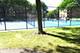 945 E Kenilworth Unit 429, Palatine, IL 60074