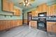 10N874 Rippburger, Elgin, IL 60124