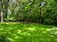 6181 Shorewood, Lisle, IL 60532